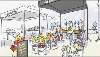 AIG - Farmer's Market