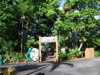 10. Discovery island Photo